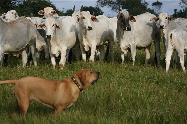 April 2011 144.jpg - Naaaa..... will da wer aus der Reihe tanzen?